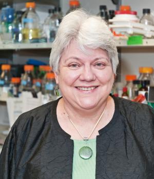 Denise A. Galloway